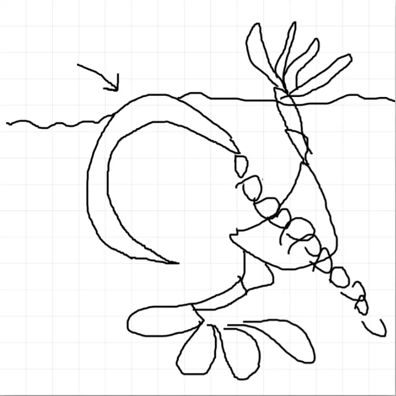 SandCreature.webp